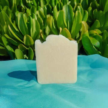 Caicos Beach Sand Artisan Handmade Soaps