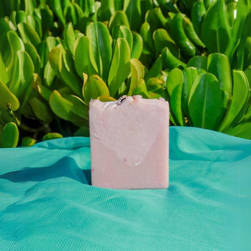 Hibiscus Coconut Artisan Handmade Soaps